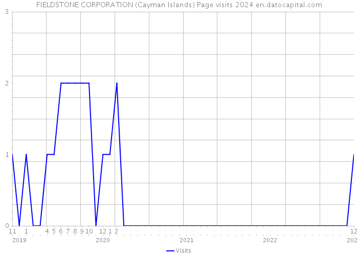 FIELDSTONE CORPORATION (Cayman Islands) Page visits 2024 