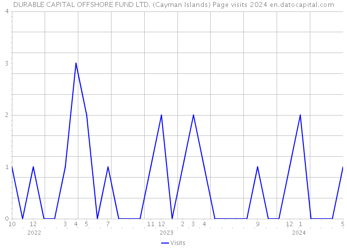 DURABLE CAPITAL OFFSHORE FUND LTD. (Cayman Islands) Page visits 2024 
