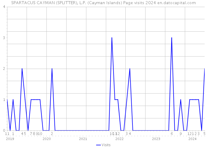 SPARTACUS CAYMAN (SPLITTER), L.P. (Cayman Islands) Page visits 2024 
