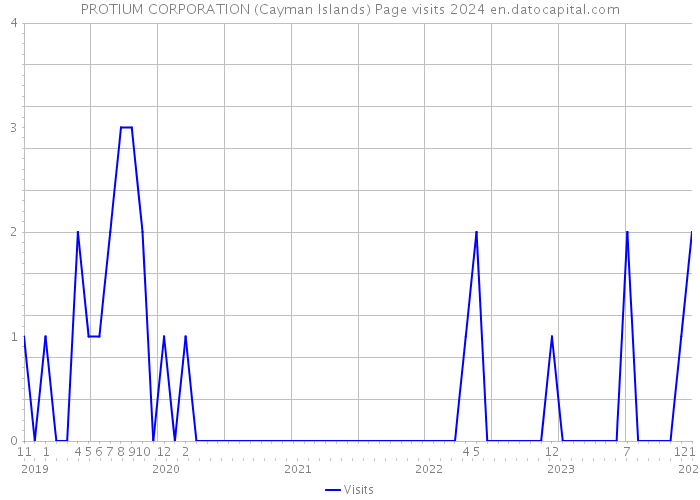 PROTIUM CORPORATION (Cayman Islands) Page visits 2024 