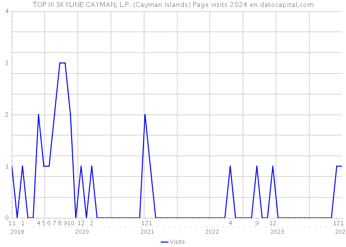 TOP III SKYLINE CAYMAN, L.P. (Cayman Islands) Page visits 2024 