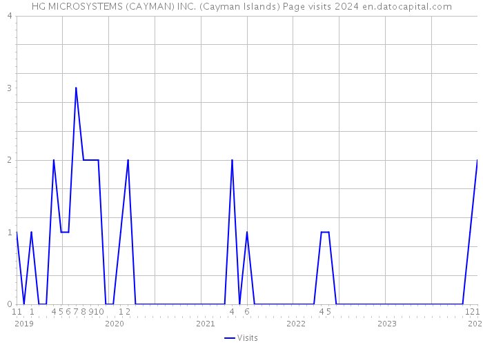 HG MICROSYSTEMS (CAYMAN) INC. (Cayman Islands) Page visits 2024 