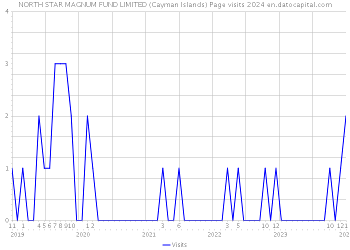 NORTH STAR MAGNUM FUND LIMITED (Cayman Islands) Page visits 2024 
