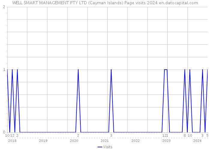 WELL SMART MANAGEMENT PTY LTD (Cayman Islands) Page visits 2024 