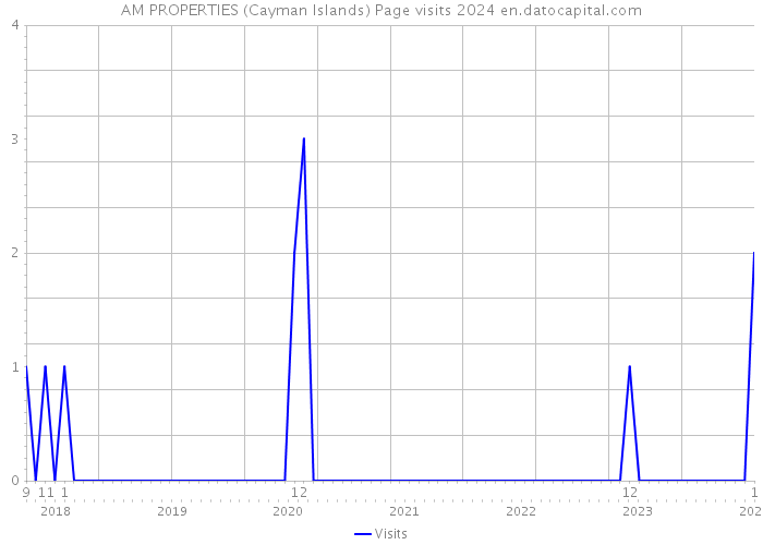 AM PROPERTIES (Cayman Islands) Page visits 2024 