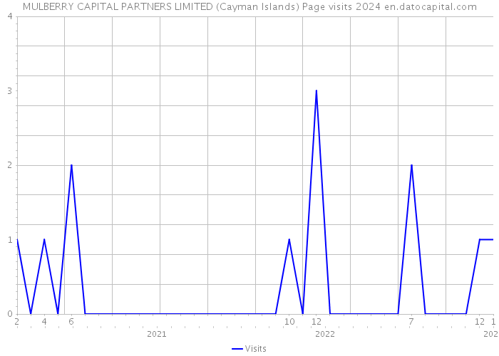 MULBERRY CAPITAL PARTNERS LIMITED (Cayman Islands) Page visits 2024 