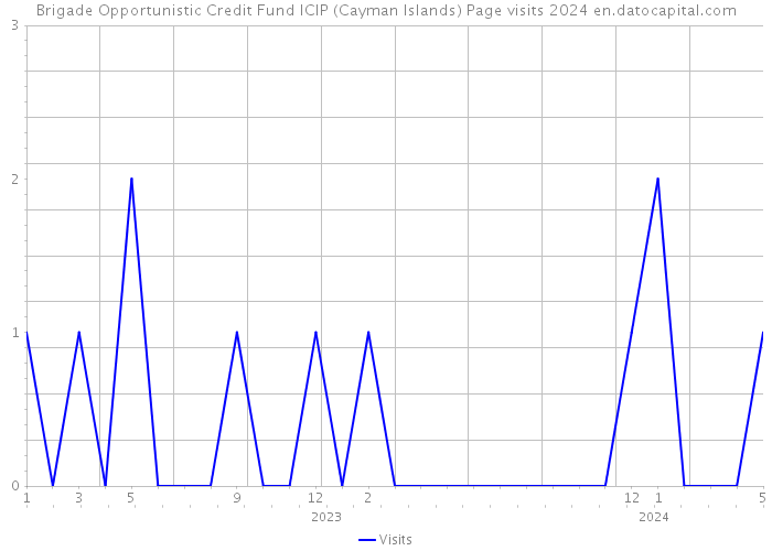 Brigade Opportunistic Credit Fund ICIP (Cayman Islands) Page visits 2024 