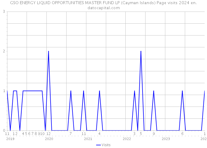 GSO ENERGY LIQUID OPPORTUNITIES MASTER FUND LP (Cayman Islands) Page visits 2024 