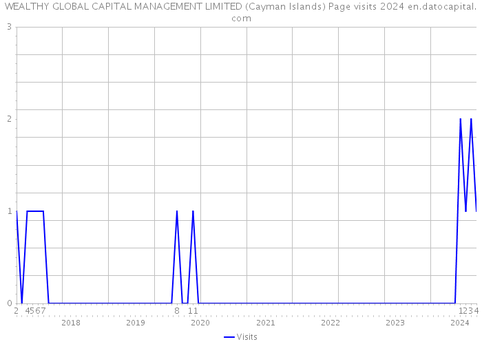 WEALTHY GLOBAL CAPITAL MANAGEMENT LIMITED (Cayman Islands) Page visits 2024 