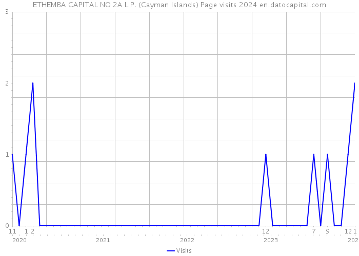 ETHEMBA CAPITAL NO 2A L.P. (Cayman Islands) Page visits 2024 