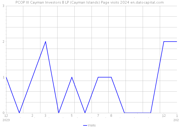 PCOP III Cayman Investors B LP (Cayman Islands) Page visits 2024 