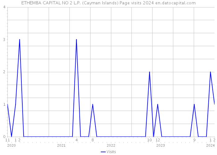 ETHEMBA CAPITAL NO 2 L.P. (Cayman Islands) Page visits 2024 