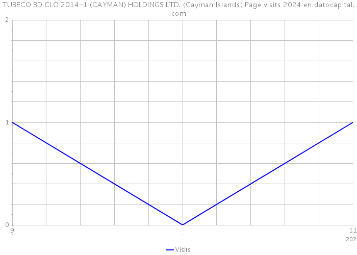 TUBECO BD CLO 2014-1 (CAYMAN) HOLDINGS LTD. (Cayman Islands) Page visits 2024 