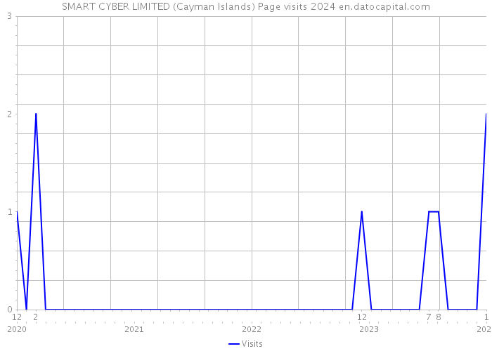 SMART CYBER LIMITED (Cayman Islands) Page visits 2024 