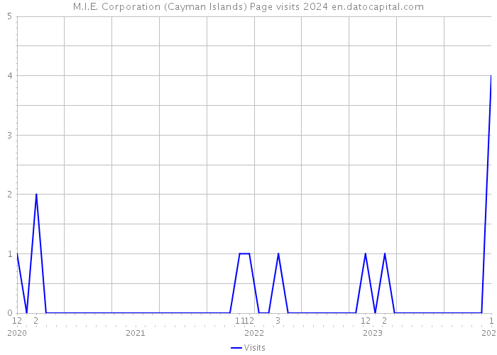 M.I.E. Corporation (Cayman Islands) Page visits 2024 
