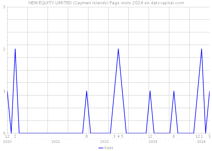 NEW EQUITY LIMITED (Cayman Islands) Page visits 2024 