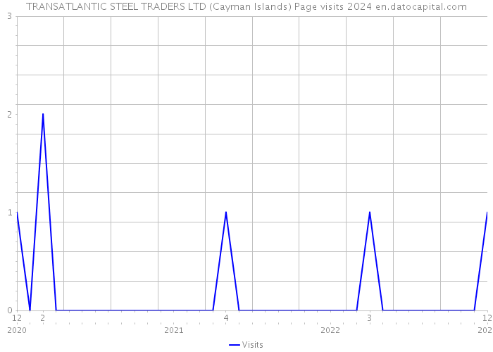 TRANSATLANTIC STEEL TRADERS LTD (Cayman Islands) Page visits 2024 