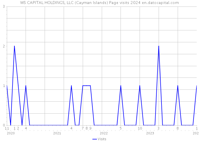 WS CAPITAL HOLDINGS, LLC (Cayman Islands) Page visits 2024 
