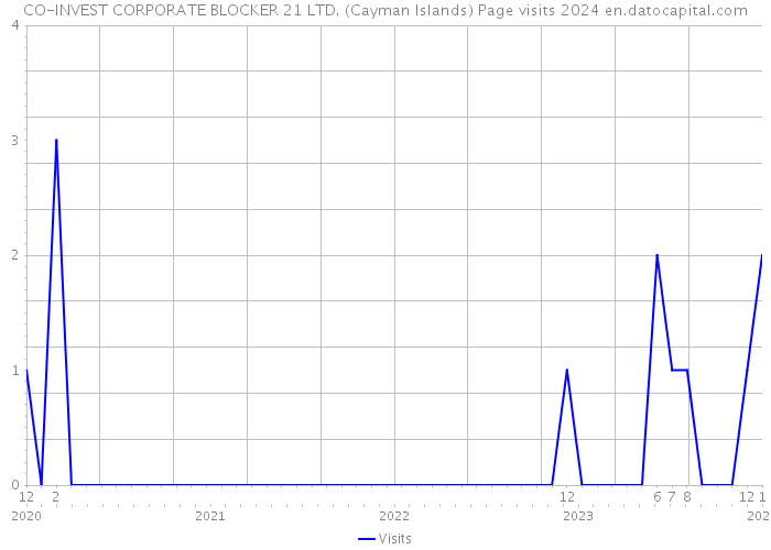 CO-INVEST CORPORATE BLOCKER 21 LTD. (Cayman Islands) Page visits 2024 