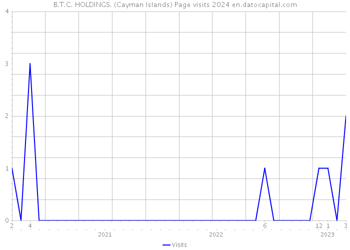 B.T.C. HOLDINGS. (Cayman Islands) Page visits 2024 