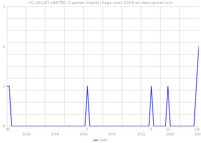 VG VALLEY LIMITED (Cayman Islands) Page visits 2024 