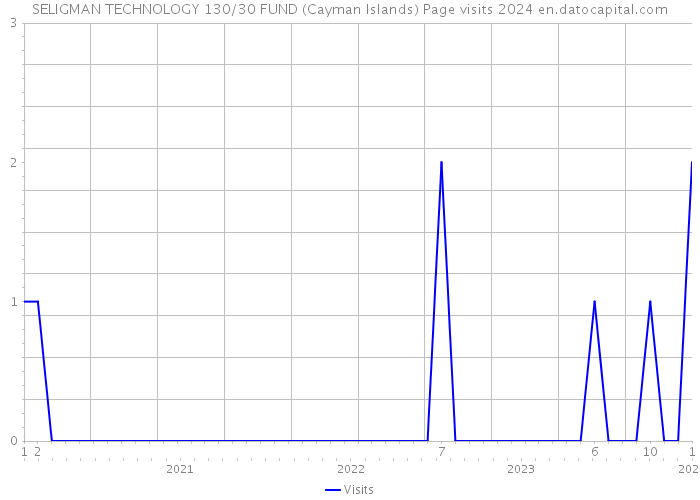 SELIGMAN TECHNOLOGY 130/30 FUND (Cayman Islands) Page visits 2024 