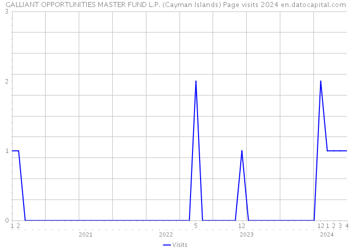 GALLIANT OPPORTUNITIES MASTER FUND L.P. (Cayman Islands) Page visits 2024 