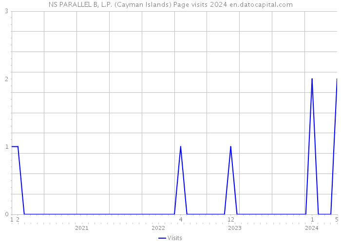 NS PARALLEL B, L.P. (Cayman Islands) Page visits 2024 