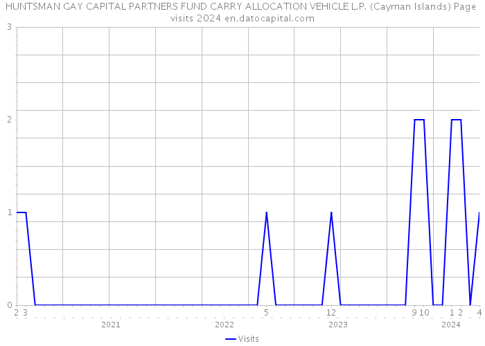 HUNTSMAN GAY CAPITAL PARTNERS FUND CARRY ALLOCATION VEHICLE L.P. (Cayman Islands) Page visits 2024 