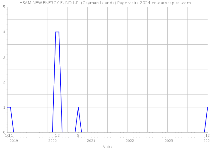 HSAM NEW ENERGY FUND L.P. (Cayman Islands) Page visits 2024 