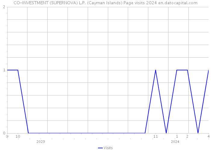 CO-INVESTMENT (SUPERNOVA) L.P. (Cayman Islands) Page visits 2024 