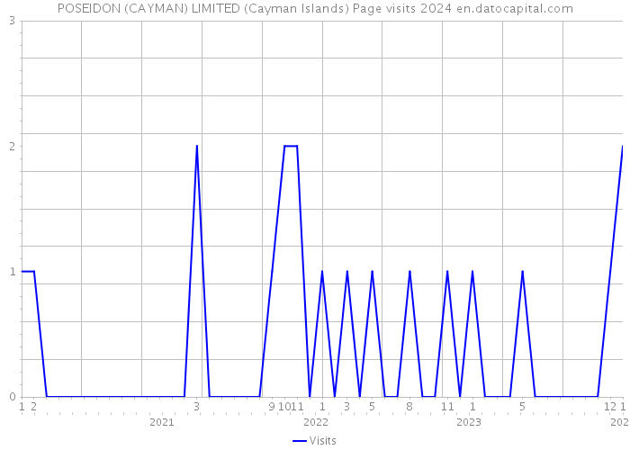 POSEIDON (CAYMAN) LIMITED (Cayman Islands) Page visits 2024 