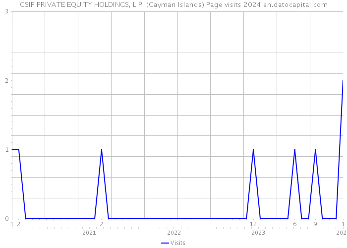 CSIP PRIVATE EQUITY HOLDINGS, L.P. (Cayman Islands) Page visits 2024 