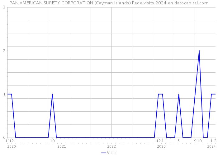 PAN AMERICAN SURETY CORPORATION (Cayman Islands) Page visits 2024 