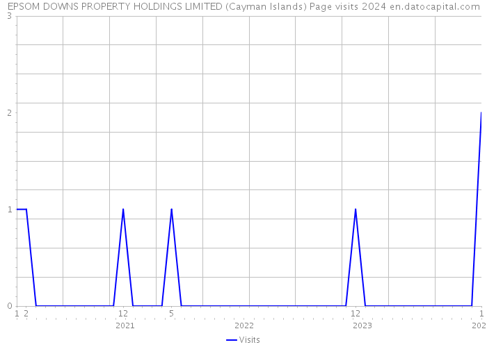 EPSOM DOWNS PROPERTY HOLDINGS LIMITED (Cayman Islands) Page visits 2024 
