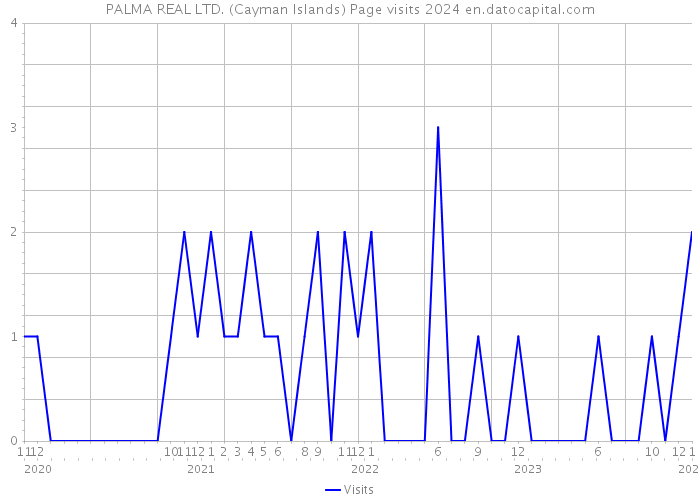 PALMA REAL LTD. (Cayman Islands) Page visits 2024 