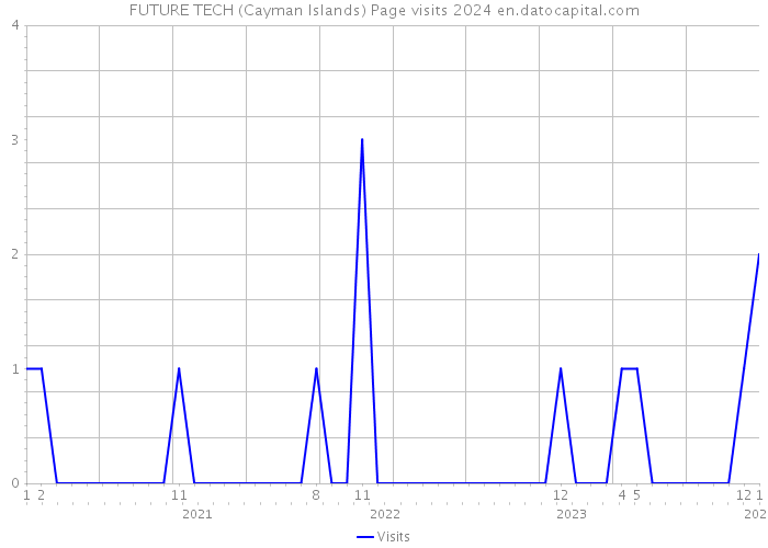 FUTURE TECH (Cayman Islands) Page visits 2024 