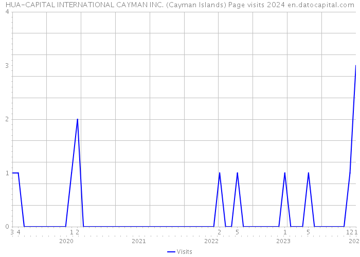 HUA-CAPITAL INTERNATIONAL CAYMAN INC. (Cayman Islands) Page visits 2024 