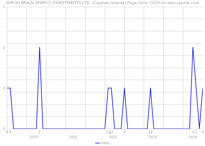 ENRON BRAZIL ENERGY INVESTMENTS LTD. (Cayman Islands) Page visits 2024 