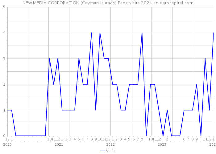 NEW MEDIA CORPORATION (Cayman Islands) Page visits 2024 
