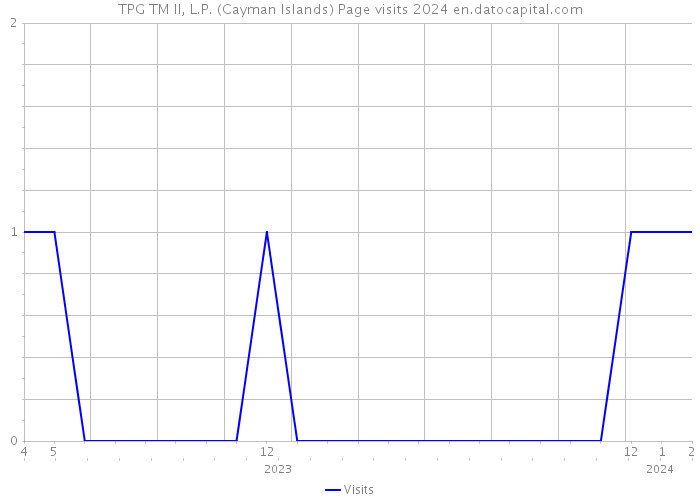 TPG TM II, L.P. (Cayman Islands) Page visits 2024 