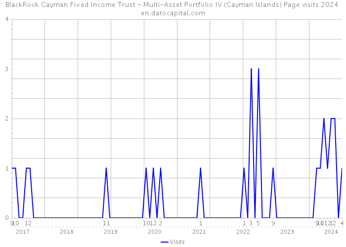 BlackRock Cayman Fixed Income Trust - Multi-Asset Portfolio IV (Cayman Islands) Page visits 2024 