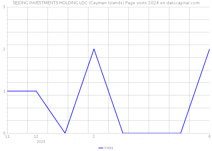 SEJONG INVESTMENTS HOLDING LDC (Cayman Islands) Page visits 2024 