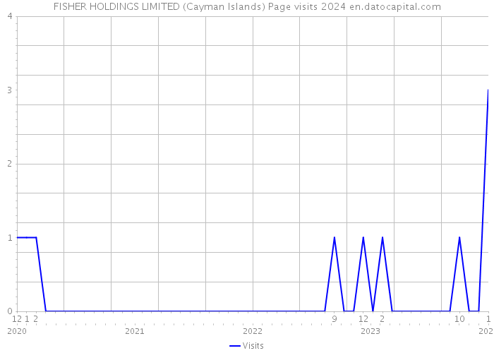FISHER HOLDINGS LIMITED (Cayman Islands) Page visits 2024 