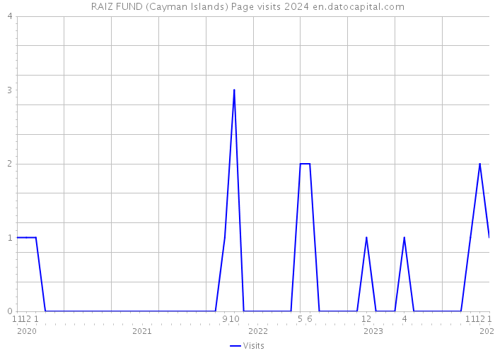 RAIZ FUND (Cayman Islands) Page visits 2024 