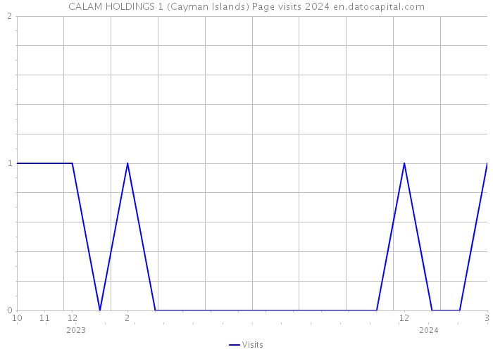 CALAM HOLDINGS 1 (Cayman Islands) Page visits 2024 