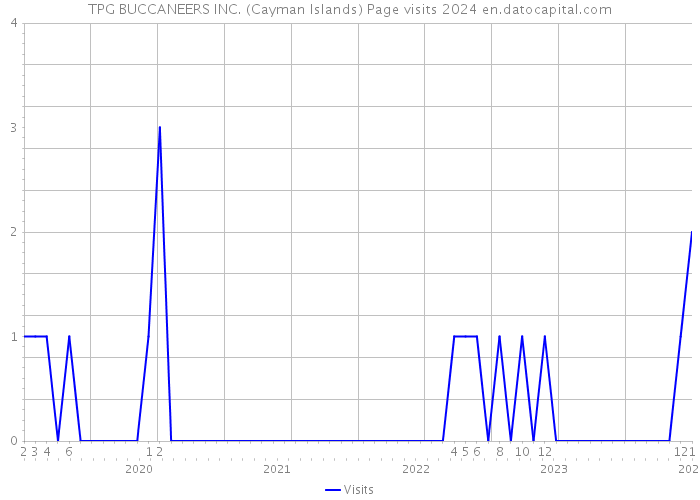 TPG BUCCANEERS INC. (Cayman Islands) Page visits 2024 