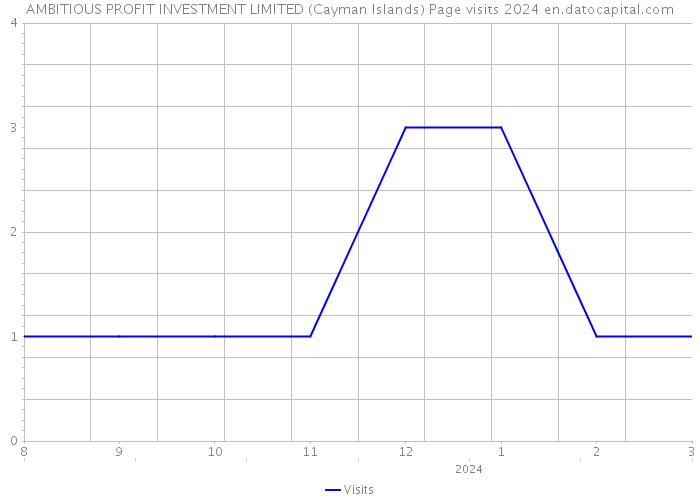 AMBITIOUS PROFIT INVESTMENT LIMITED (Cayman Islands) Page visits 2024 