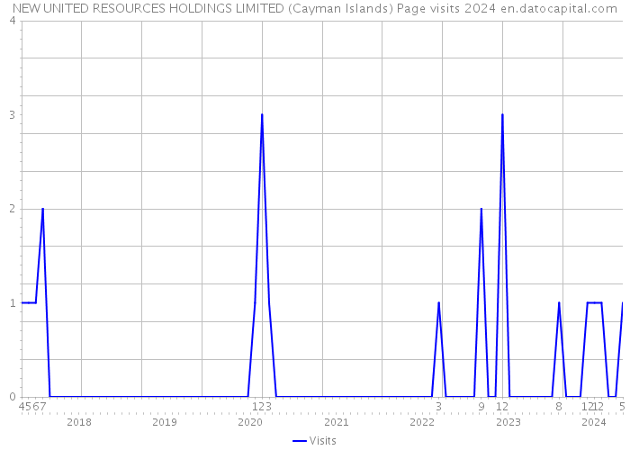 NEW UNITED RESOURCES HOLDINGS LIMITED (Cayman Islands) Page visits 2024 