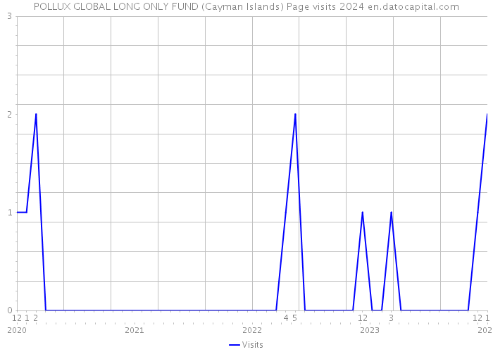 POLLUX GLOBAL LONG ONLY FUND (Cayman Islands) Page visits 2024 